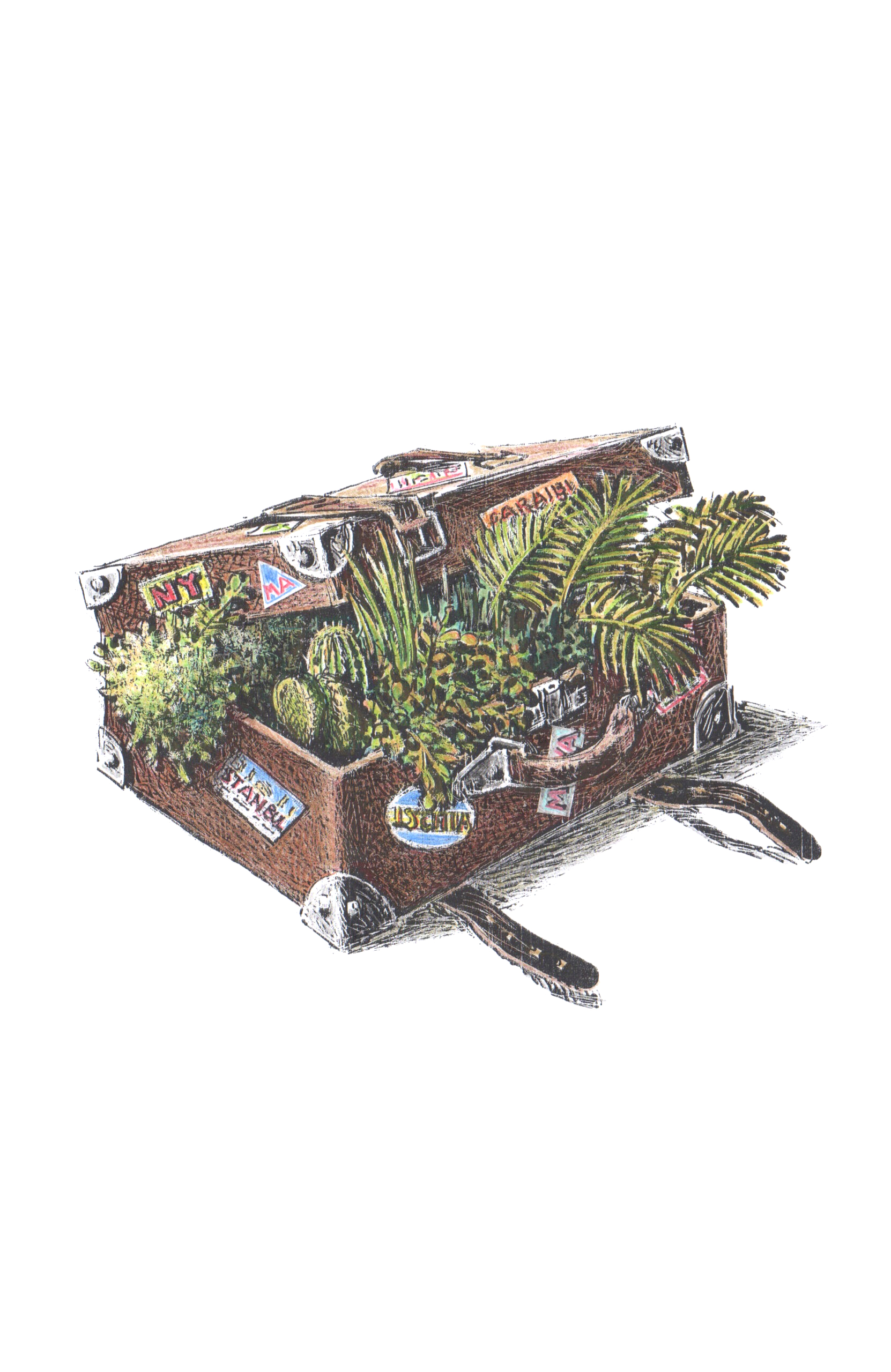 Presentazione del libro “Di un giardiniere errante” di Ermanno Casasco