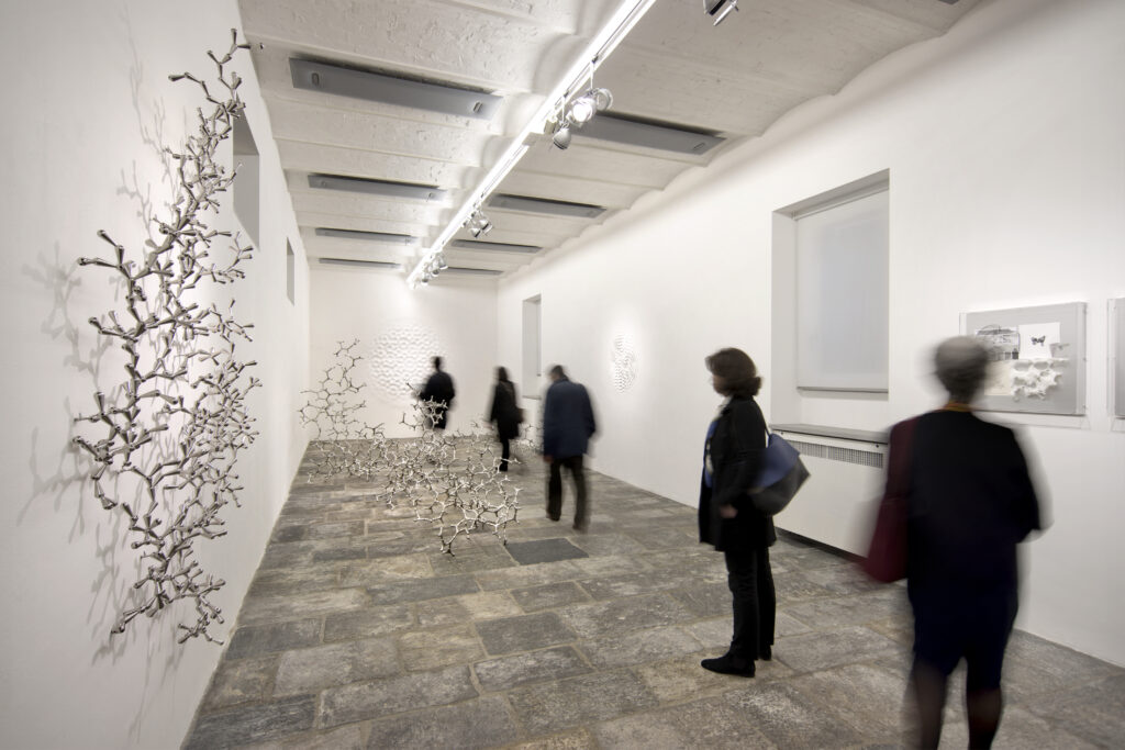 2014 1 mostra Cecchini Photo Carlos Tettamanzi