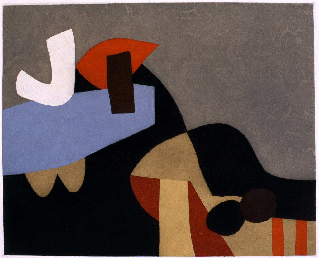 Afro Libro Baudelaire