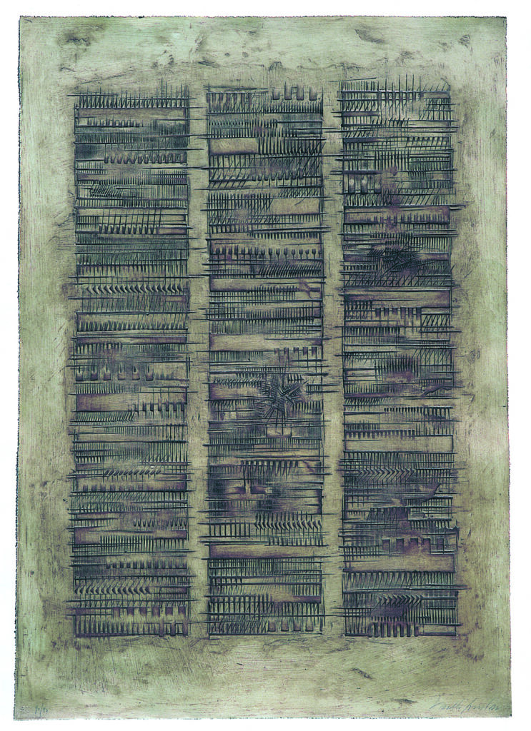 GR:34 CRONACA 6 - FRANCESCO LEONETTI copia