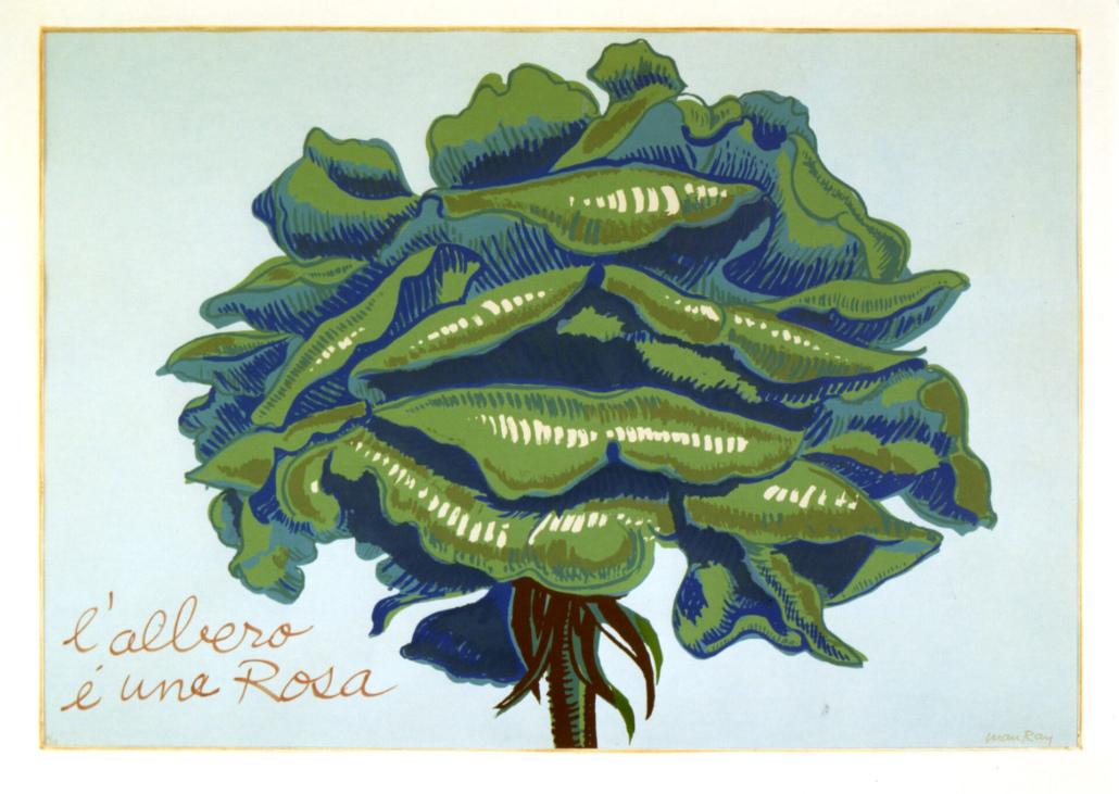 Man Ray, L’albero è una rosa, 1969